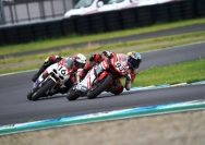 Squad pebalap binaan PT Astra Honda Motor (AHM) yakni #21: M. Adenanta Putra #23: Andi Farid Izdihar #24: Davino Britani #46: Herjun Atna Firdaus #93: Fadillah Arbi Aditama dan #123: Rheza Danica Ahrens siap melaju pada putaran keempat Asia Road Racing Championship (ARRC) 2025 di Pertamina Mandalika International Circuit, Lombok, Nusa Tenggara Barat, (30-31/8) akhir pekan ini I ISTIMEWA