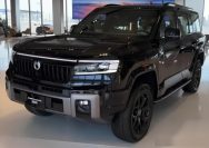 Di Indoneisa Denza baru memiliki satu model yaitu Denza D9. Nama Denza N9 terdaftar di DJKI, dan kemungkinan berpotensi rilis di Indonesia I kredit ; Shouxi Guanzhu