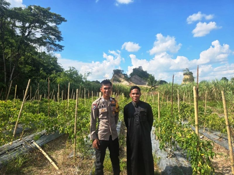 Program Sosial Bank Indonesia (PSBI) untuk mendukung agribisnis di Pesantren Madinatul Quran I akun facebook Madinatul Quran